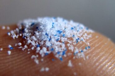 Microplasticos en la cerveza