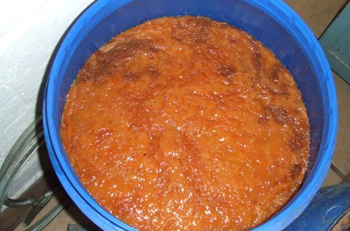 Chapeau brun Sombrero marrón o chapeau brun formado sobre el mosto de manzana durante la défécation