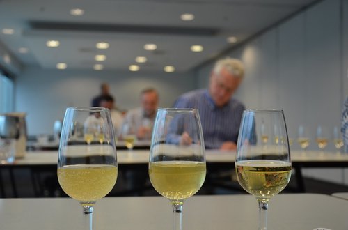 Copas de cata de sidra Tres copas de sidra preparadas para la cata en un concurso