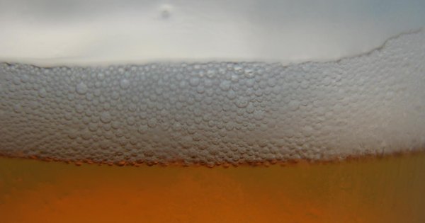 Espuma de las cervezas sin gluten, vaso de cerveza con corona de espuma