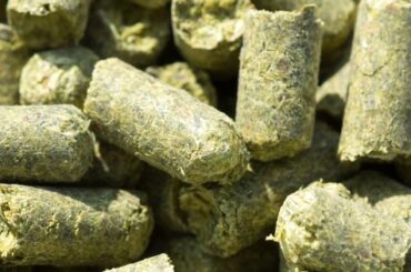 Hop creep, pellets de lupulo anadidos en seco a una IPA en fermentador