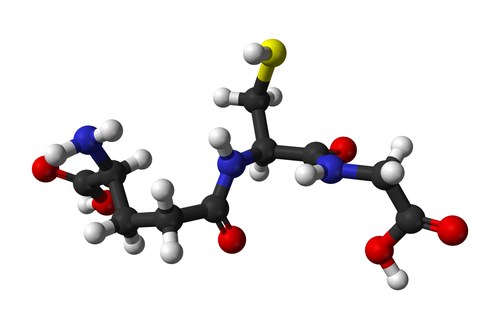 Glutatión Molécula de glutatión en 3D, una de las sustancias kokumi más estudiadas